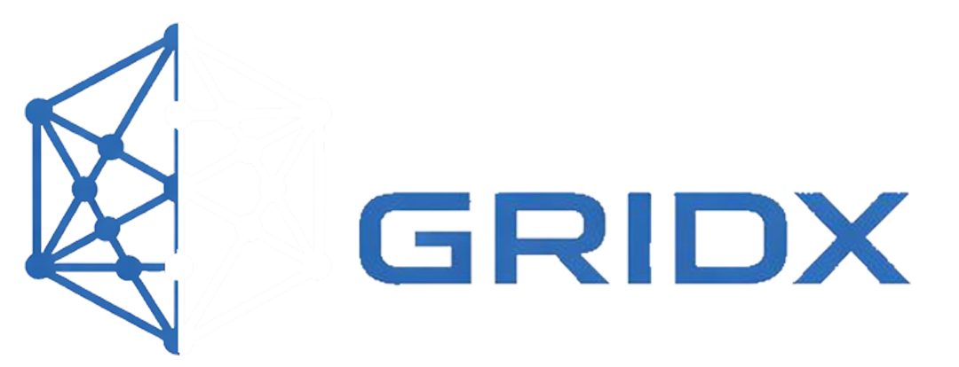 OmniGridX Logo